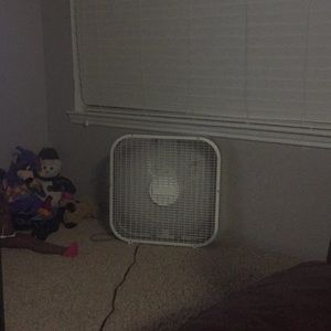 Meet your Posher, Francisca